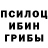 Галлюциногенные грибы мицелий Toncho Angelov