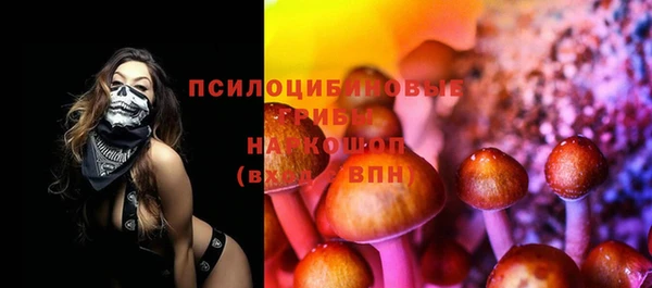 дживик Козельск