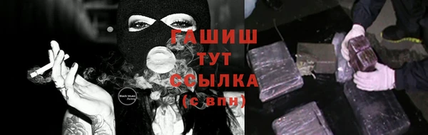 стаф Кодинск
